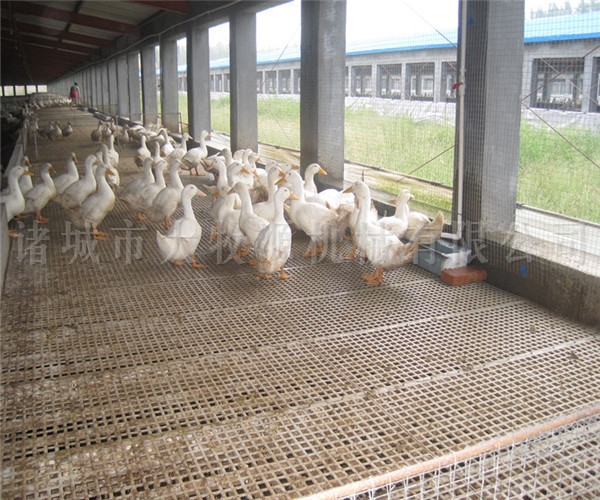 ��Ѽ�豸ƽ��