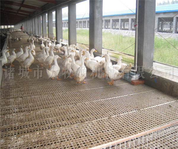 ��Ѽ�豸ƽ��