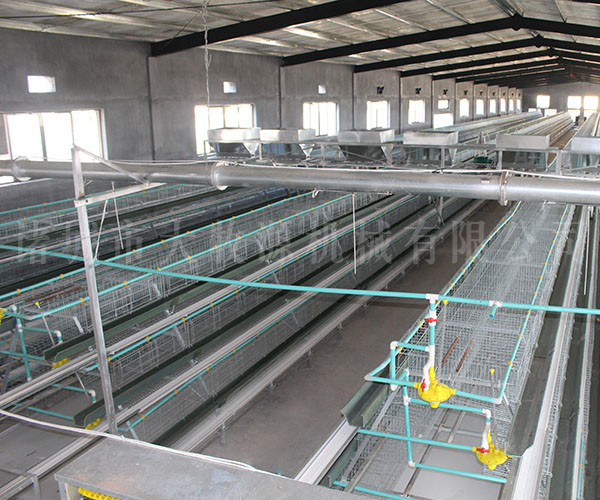 �����Զ����ϻ�